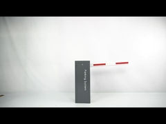 Μικροκυκλοφόρηση